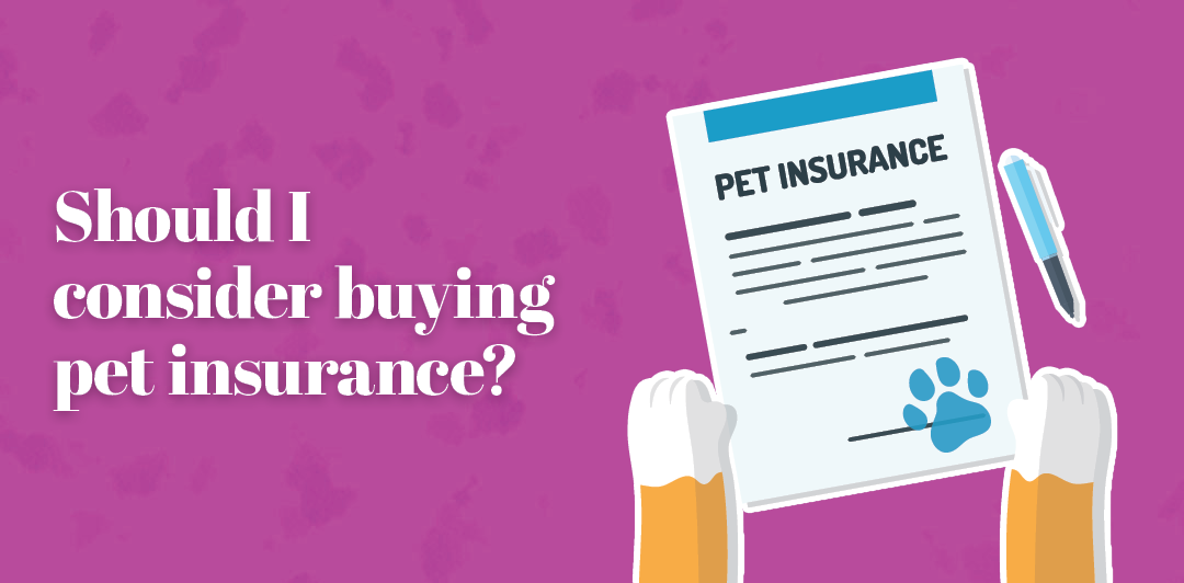 Should I consider buying pet insurance?